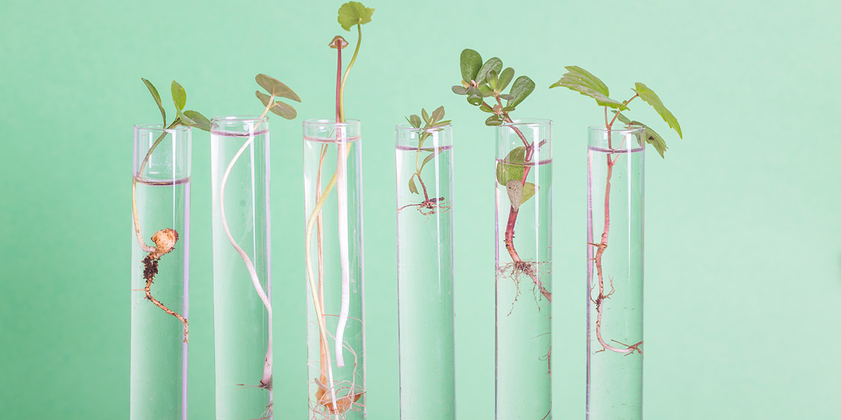 A volatility whiplash cedes attention to deficits and Treasuries