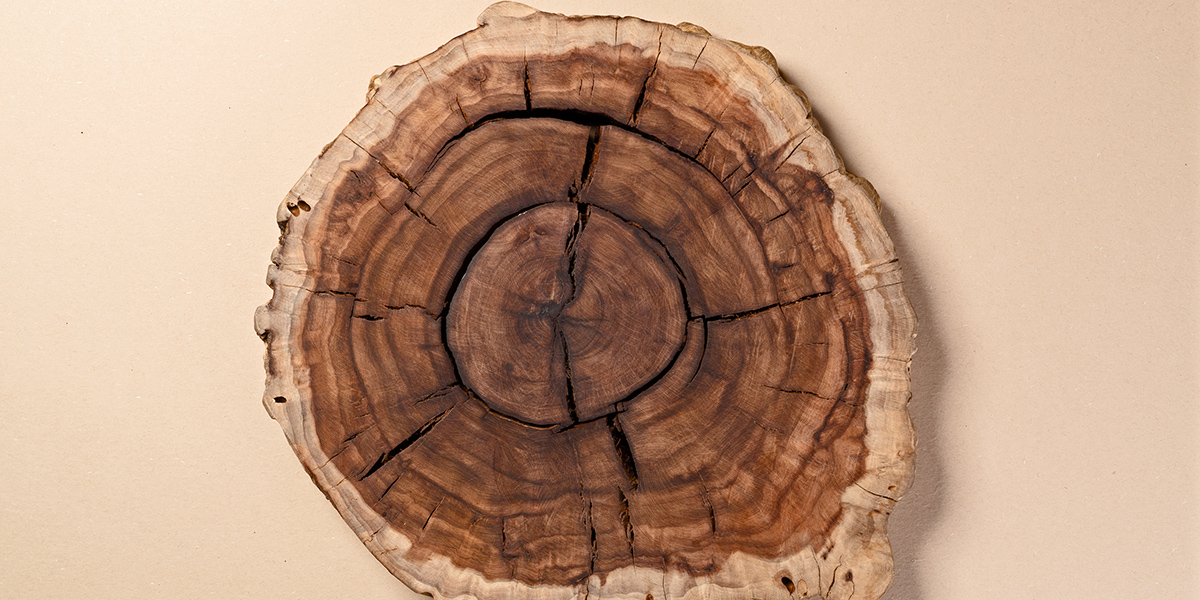 Looking beyond the Fed rate cut 