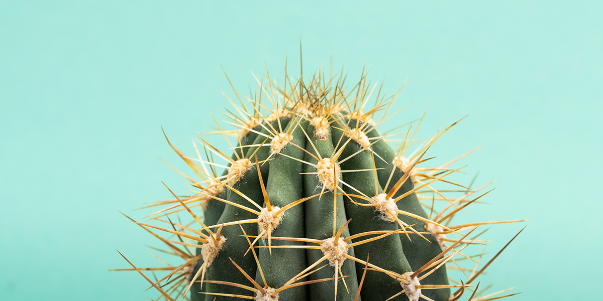 What determines equity returns